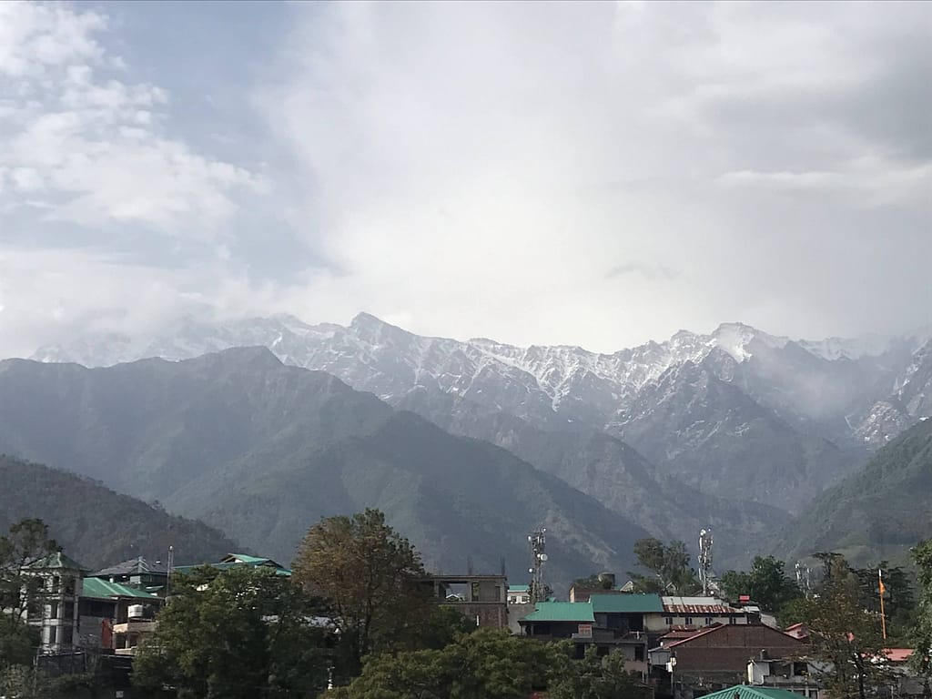 Nature Walks and Forest Therapy